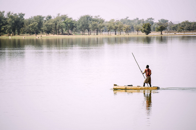 When the climate changes, migration does too