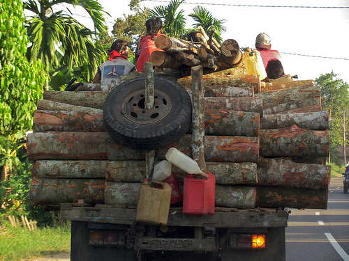 Tiga area yang harus difokuskan agar REDD berjalan