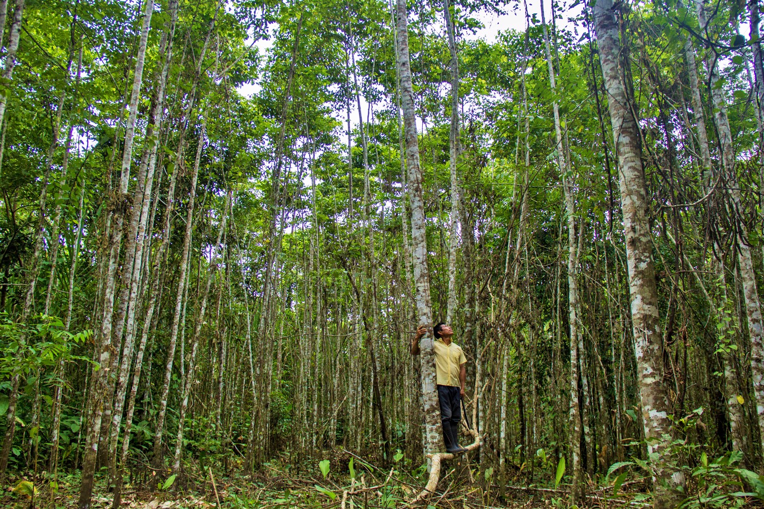 Restauración Latinoamérica: A mayor escala, más desafíos