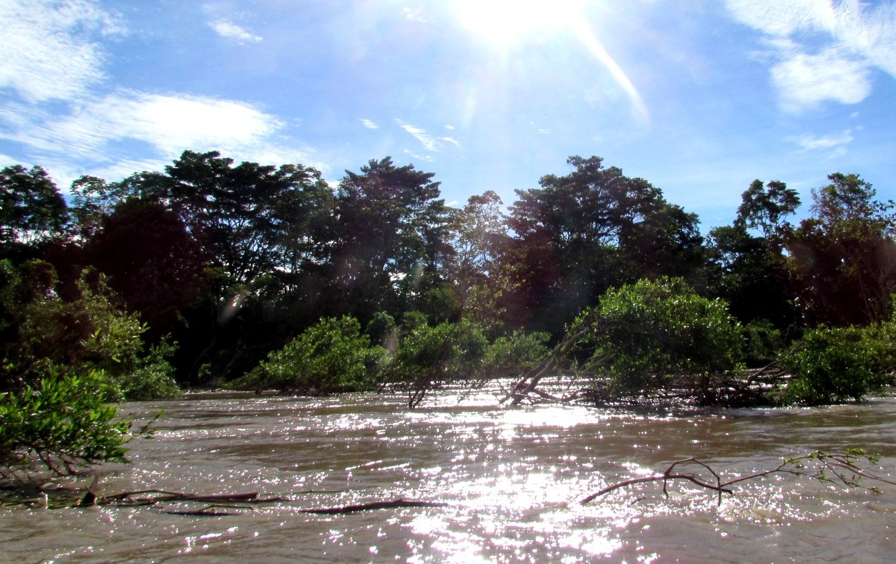 Fuente de vida: El agua también necesita un enfoque de paisajes