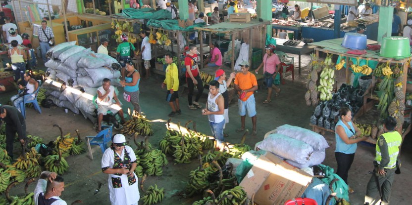 El comercio clandestino de carne de monte en la Amazonia sale a la luz