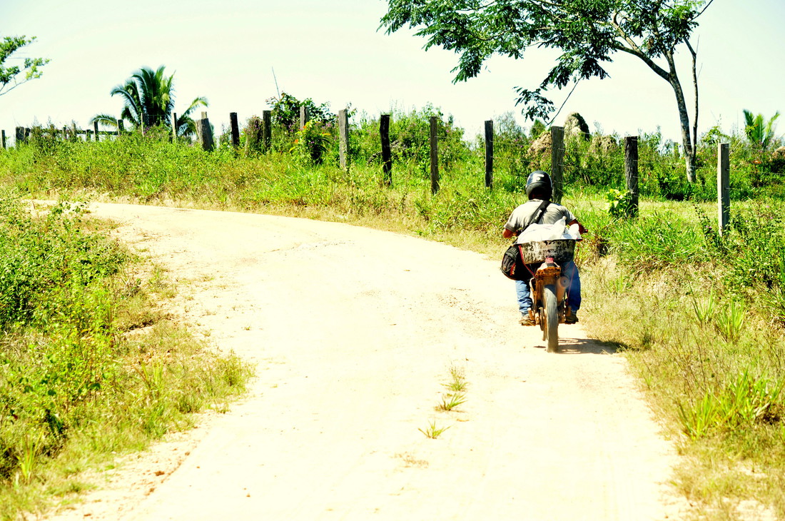 Having your oil palm, and forests too