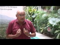 Diálogos de Tenencia, Perú: Aldo Ramírez
