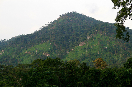 Restorasi: Pada akhirnya negara berkembang melakukannya sendiri