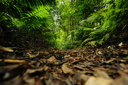 Komunikasi intensif atasi masalah kewenangan Tahura Bunder Yogyakarta