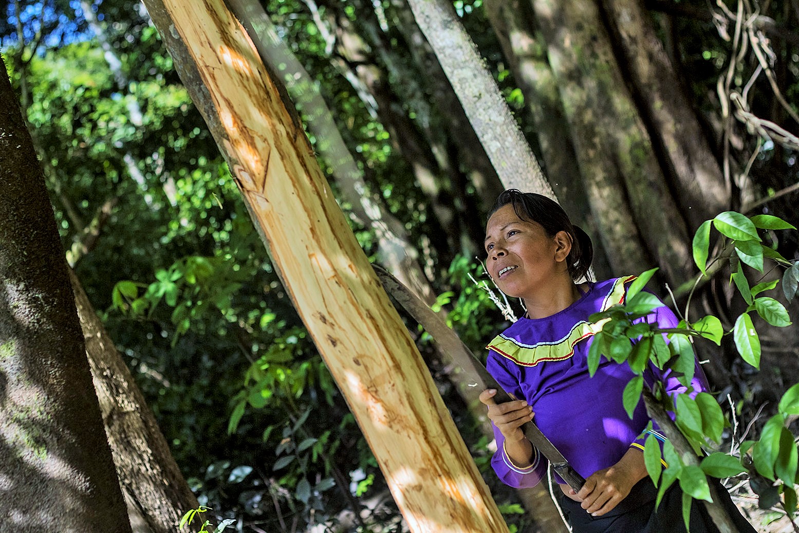 Para las mujeres de la Amazonia, proteger los bosques es parte de su vida
