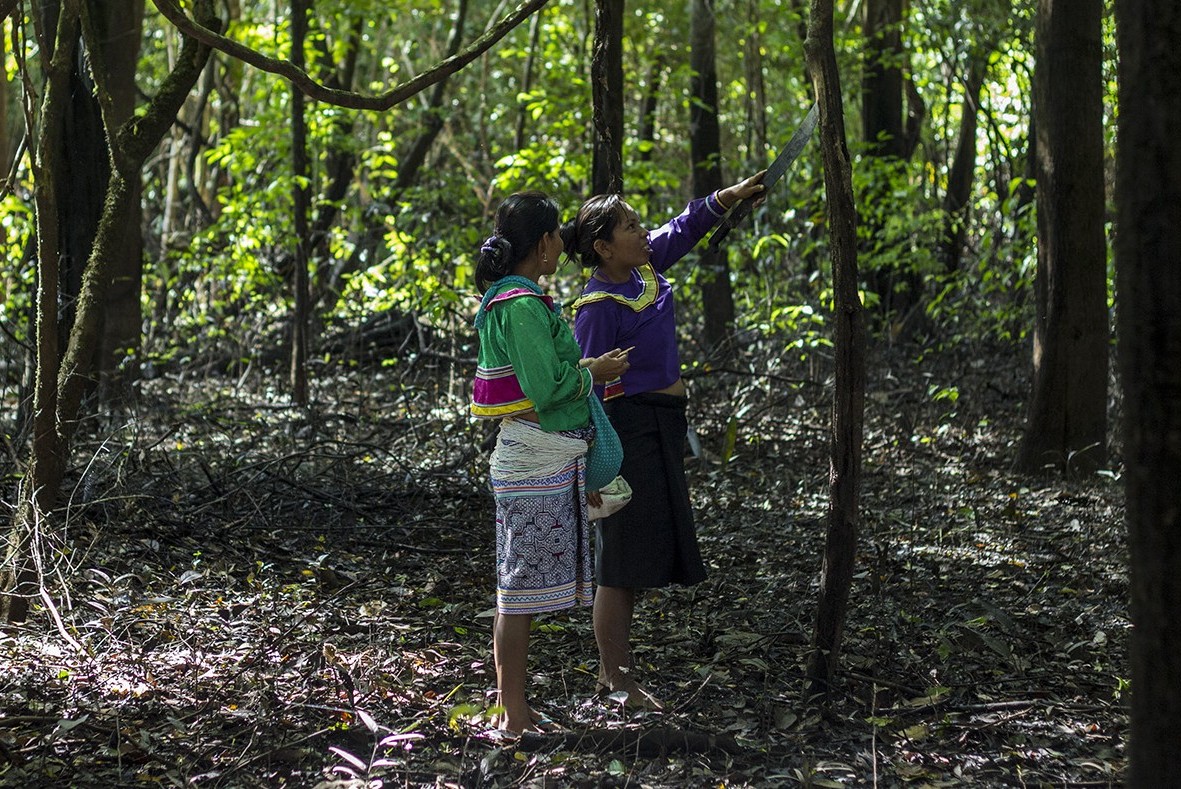 Science sisters of the Amazon