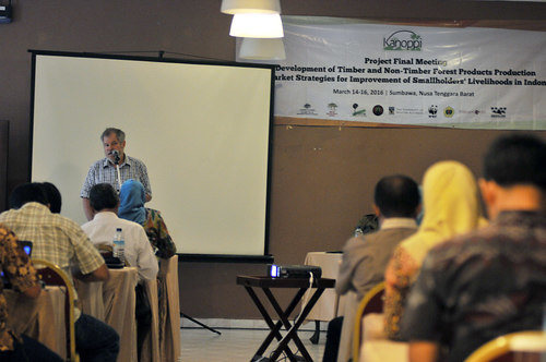 Integrasi strategi tata kelola perkuat daya saing kayu dan HHBK