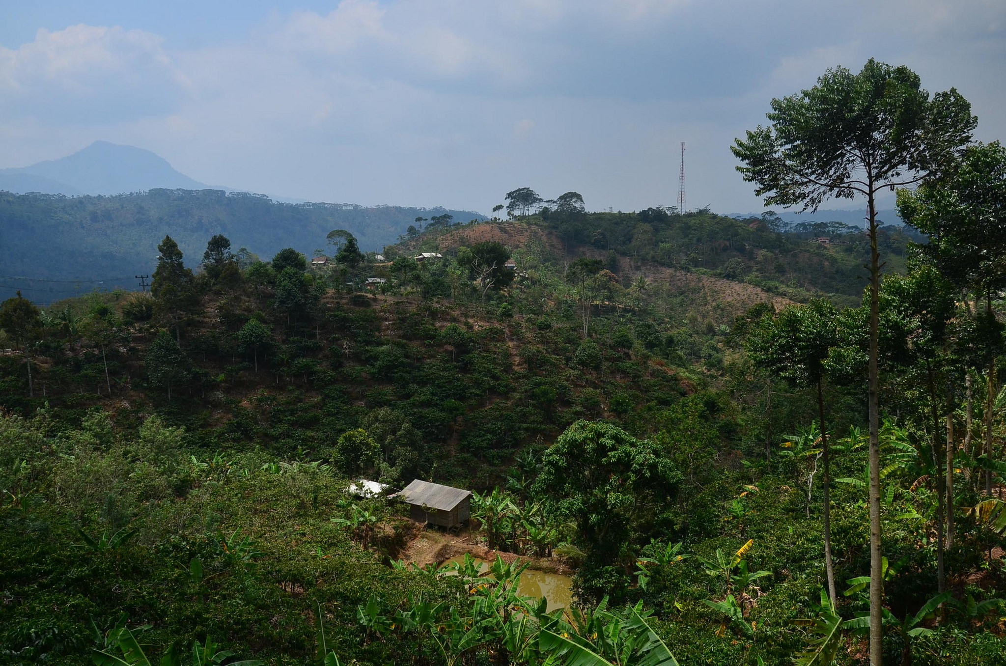 Alih kewenangan tahura Bunder belum menemukan titik terang