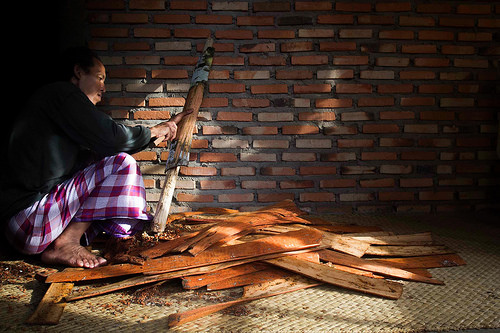 Hari Hutan Internasional 2016: Program Riset CGIAR tentang Hutan, Pepohonan dan Agroforestri