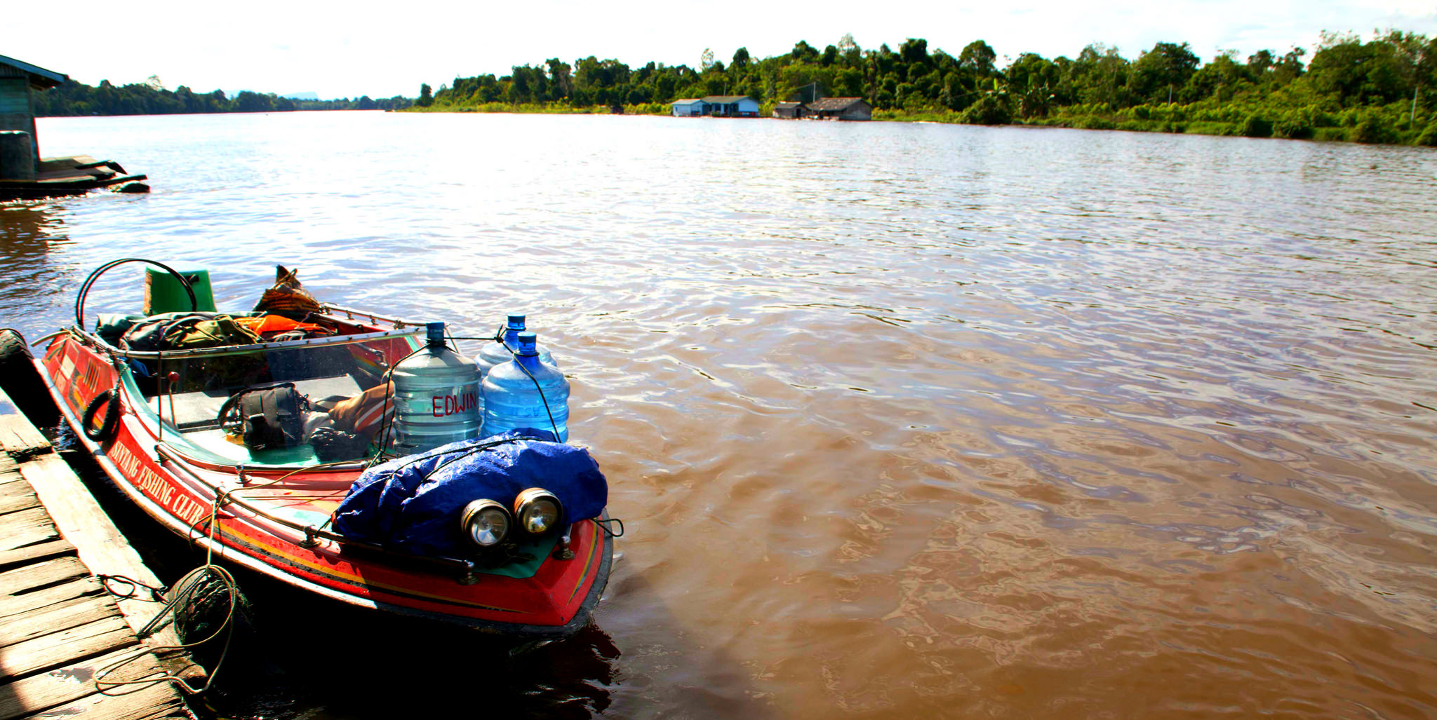 The challenges of conserving tropical forests