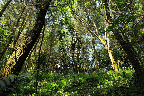 Menjelang UU 23/2014. Kejelasan hak atas lahan adalah syarat mutlak
