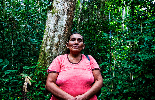 REDD+ and other imperfect solutions