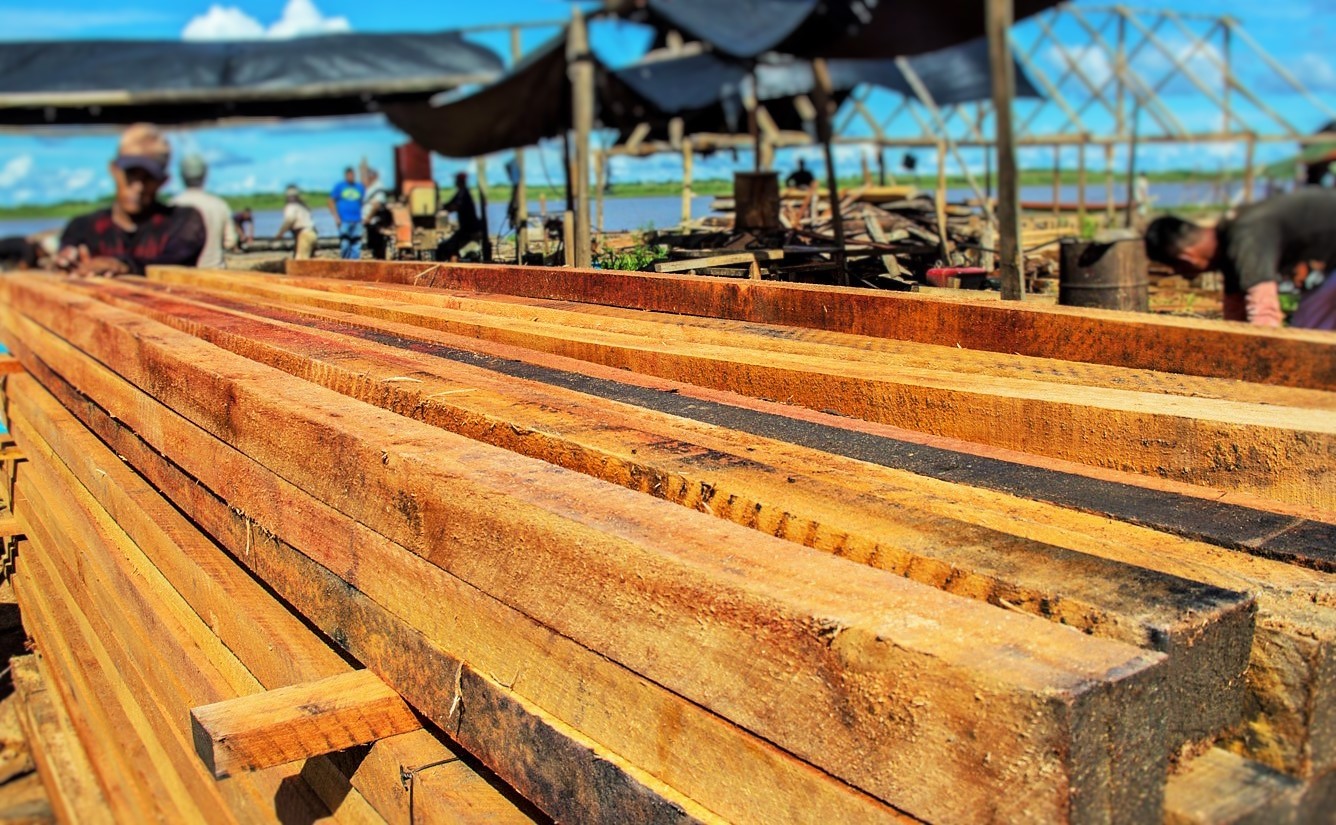 ¿Pueden las plantaciones forestales promover la conservación de los bosques?