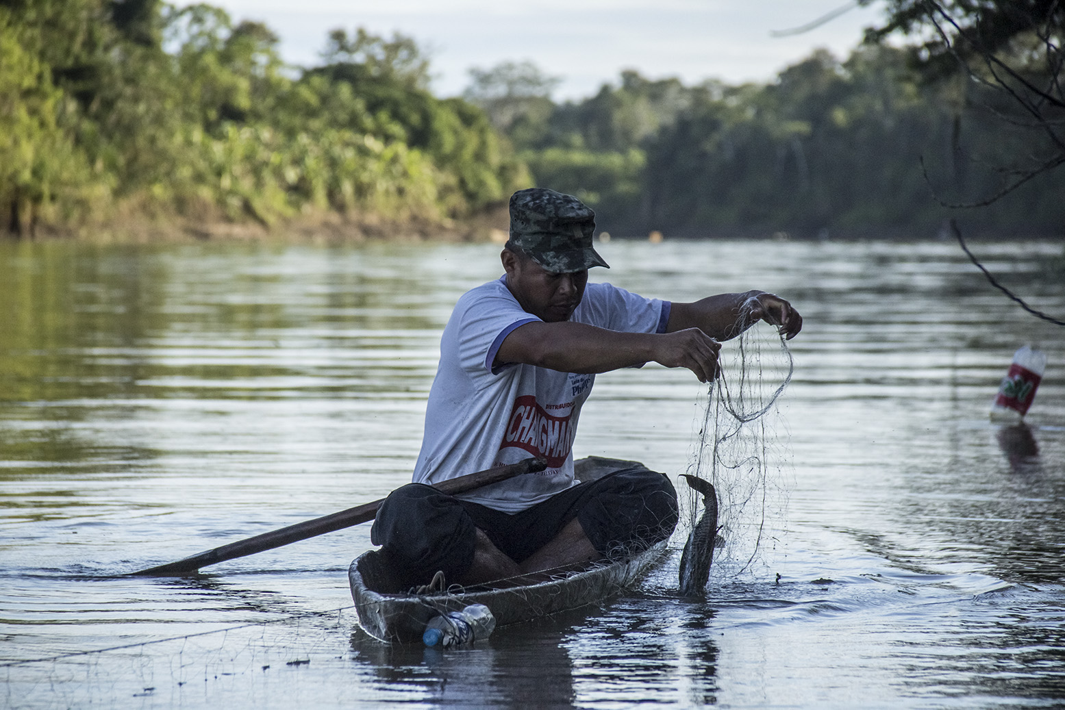 Q & A com Sven Wunder sobre o estado de REDD+ na América do Sul