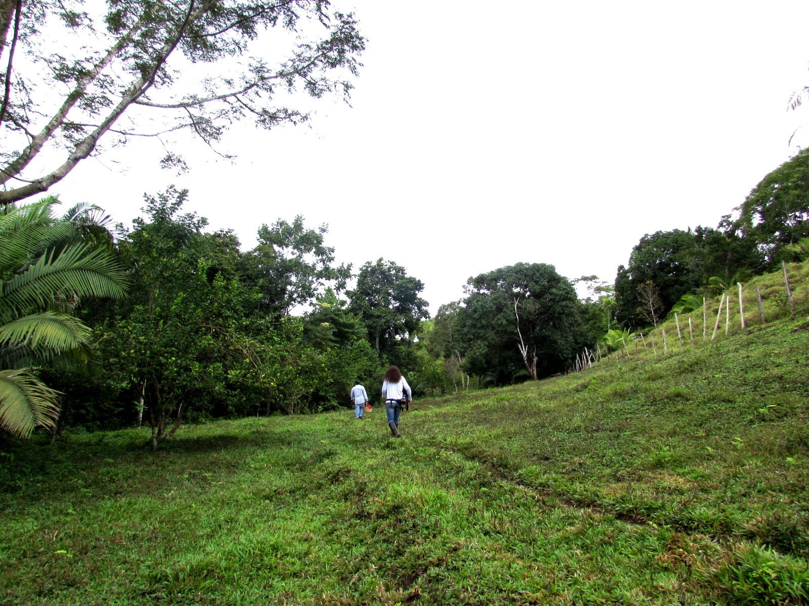 Una hermandad de científicas en la Amazonia