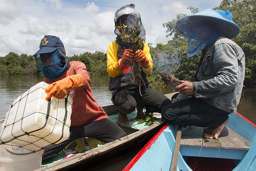 Apa korelasi kepemilikan lahan dan kehidupan yang lebih baik?