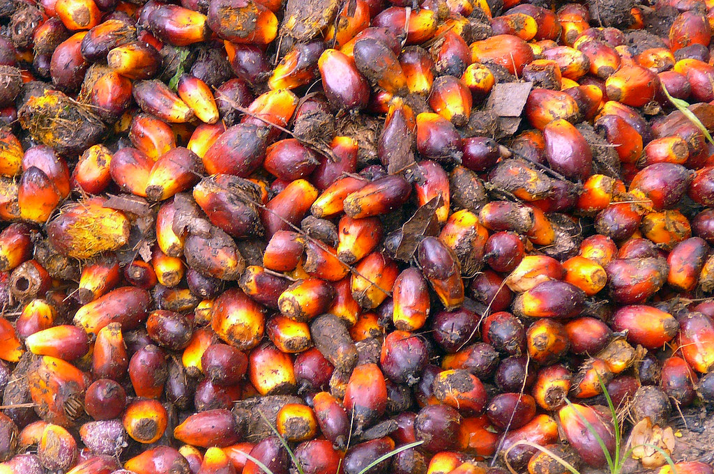 What will it take to make sustainable palm oil the norm?
