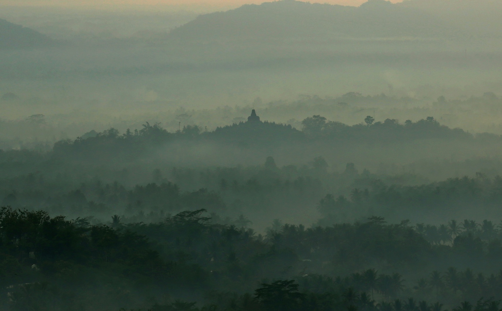 Menjelang UU 23/2014. Skema bagi hasil, jalan tengah terbaik kelola hutan