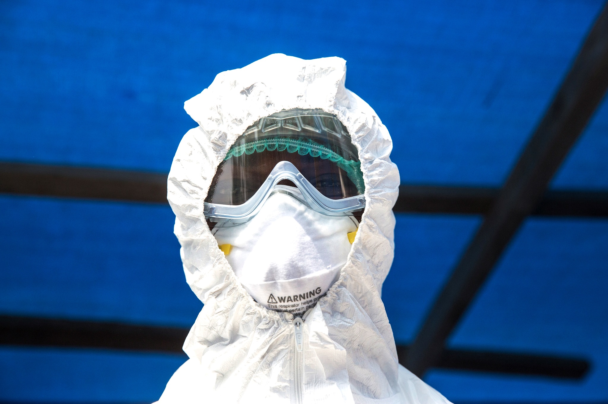 Ébola: científicos rastrean el virus en los bosques para contener brotes