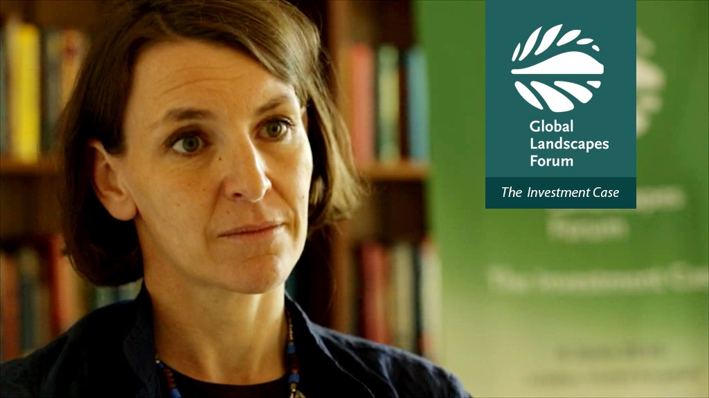 DFID’s Andrea Ledward on the Green Climate Fund