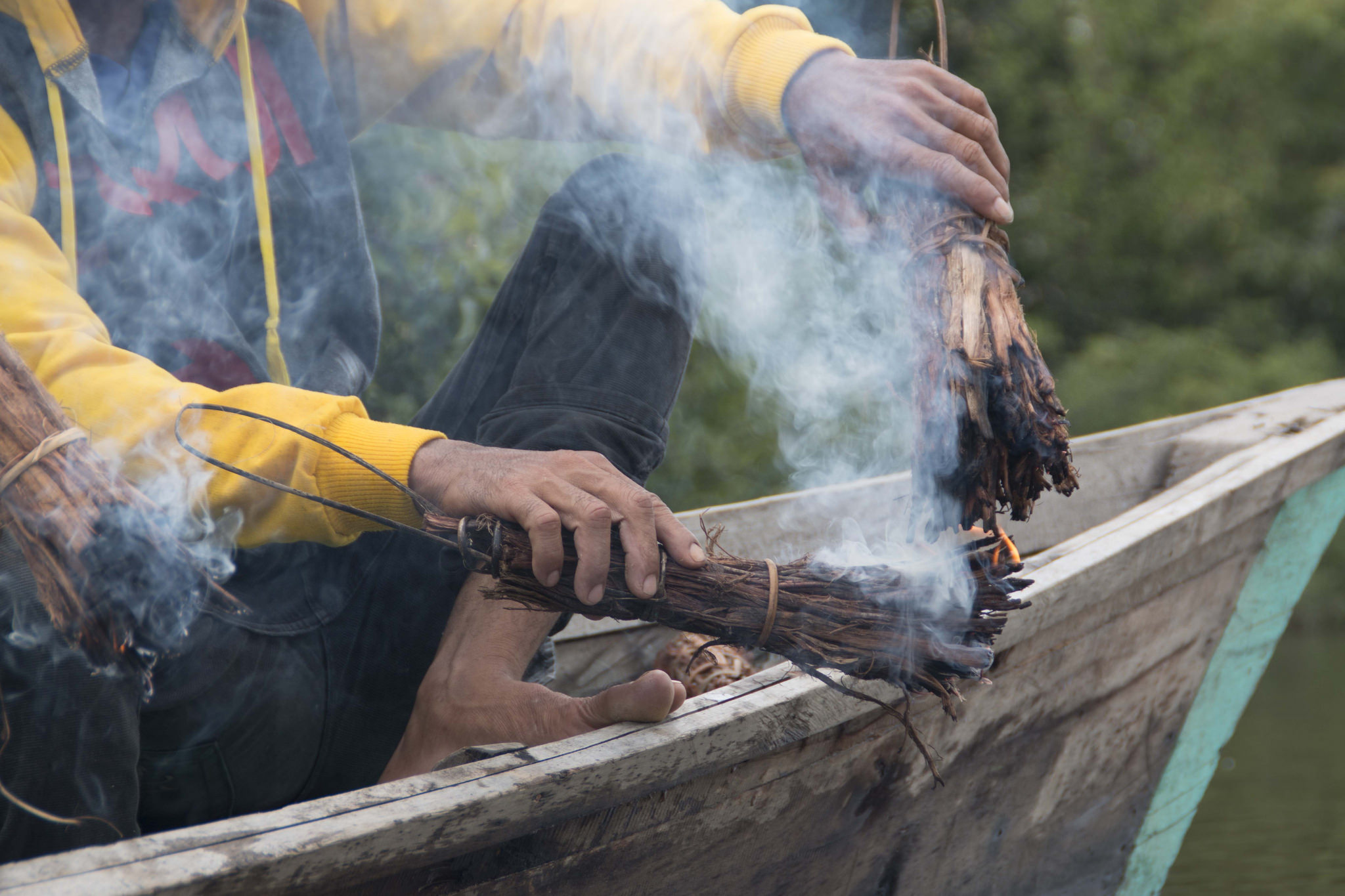 Wood fuel not as bad for the environment as previously thought