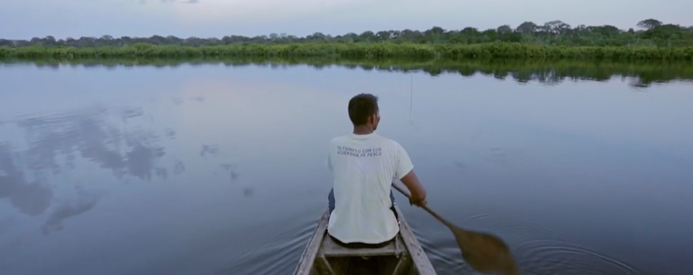 Hunting for sustainability