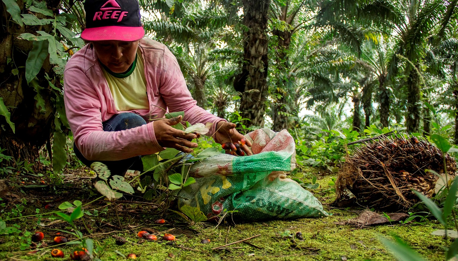 El financiamiento para los pequeños productores como una apuesta por la sostenibilidad