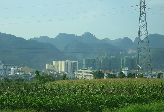 Q&A: Lessons from China for forest landscape restoration