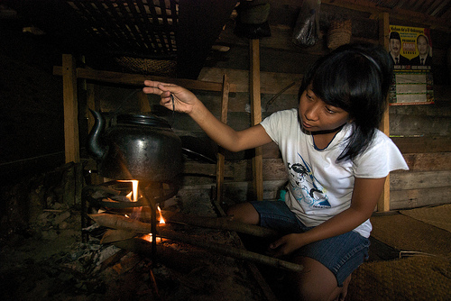 Dampak bahan bakar kayu bagi lingkungan tidak seburuk yang diduga