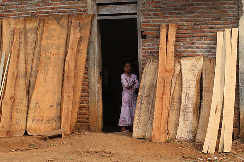 Brexit dan Masa Depan Kayu Indonesia