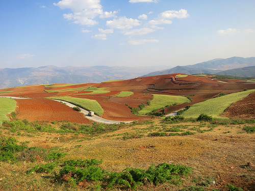 Big bucks for the environment – China leads the way