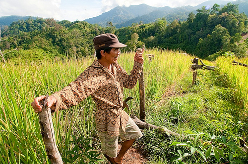 Politik dalam REDD+, sulitnya mengatasi penyebab utama deforestasi