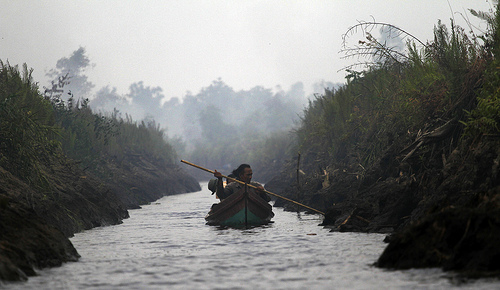 Tax amnesty, ekonomi hijau dan restorasi gambut