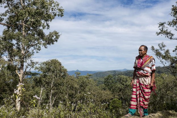Isak Fobia stands on a hillside in West Timor, Indonesia, surrounded by forest and distant mountains.