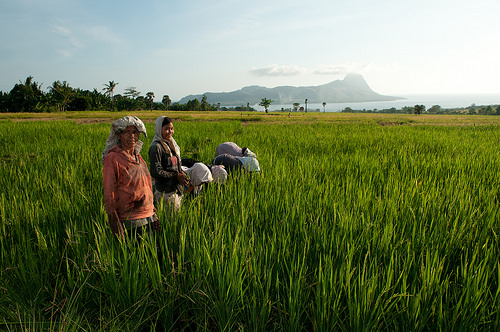 Peran perempuan di lintas benua: Penghidupan dan bentang alam
