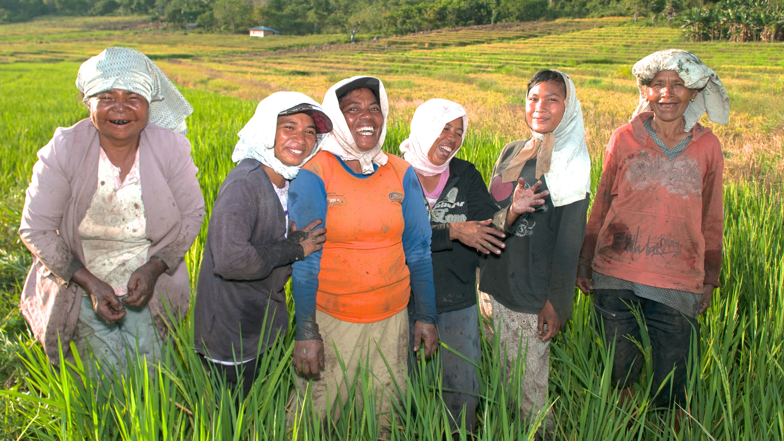 Rural women across the globe: Linking livelihoods and landscapes