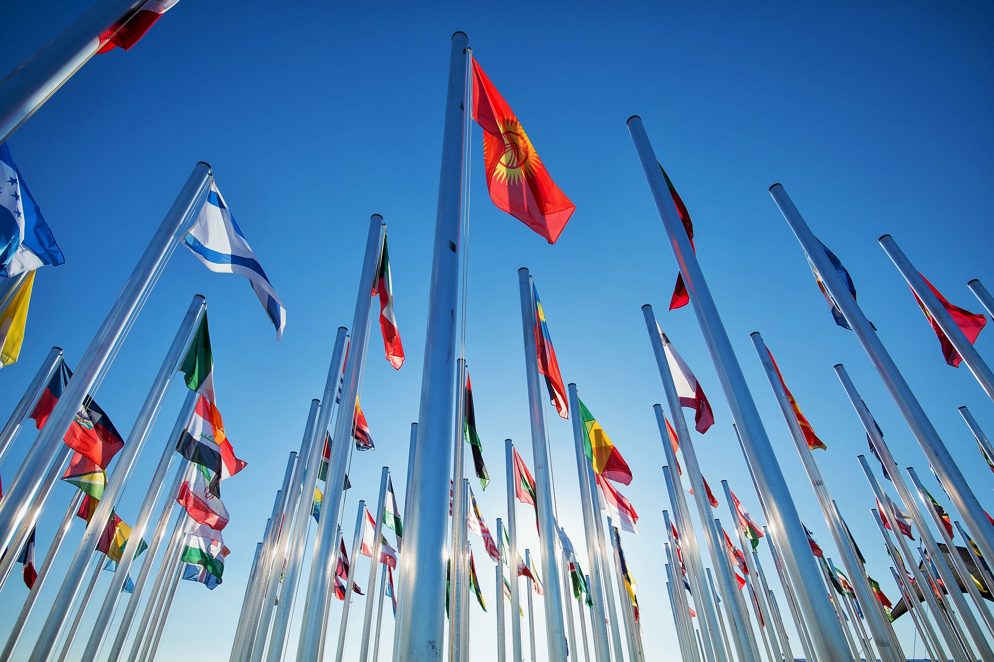 De la implementación a la transformación: temas para los bosques y el sector de la tierra en la COP22