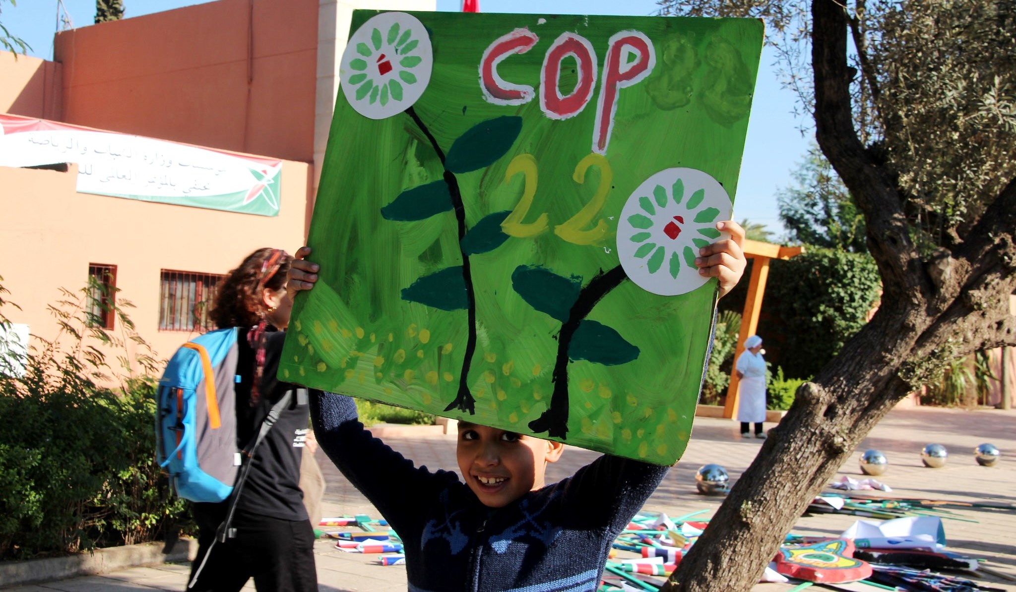 Cinco formas en que la investigación forestal contribuyó a los debates climáticos de Marrakech