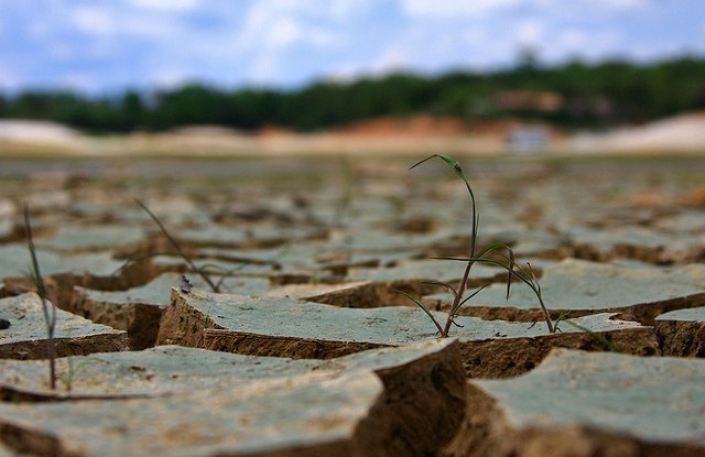 LAPORAN KHUSUS COP22: Daya tarik Marrakesh: Medina, pasar dan ‘Aksi COP’