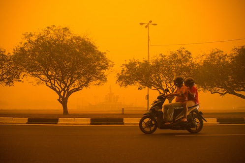 Hidup berdampingan dengan asap beracun
