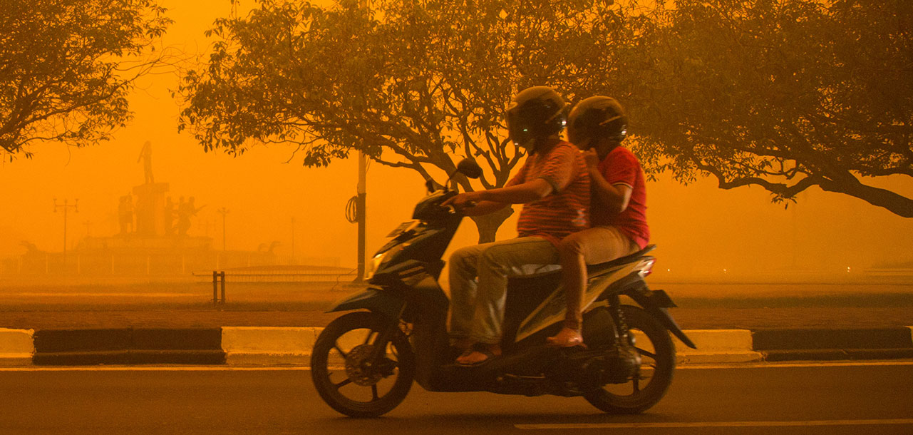 Living in a toxic haze