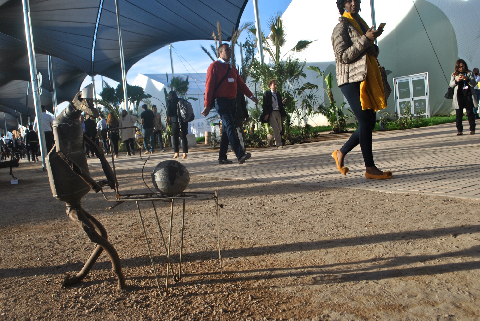 COP22 Special: Research in action