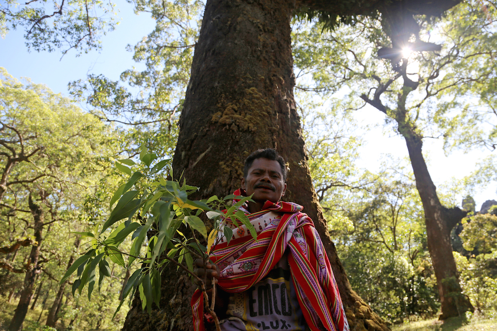 Solusi perubahan iklim: Berkonsentrasi lebih dari sekedar isu emisi GRK