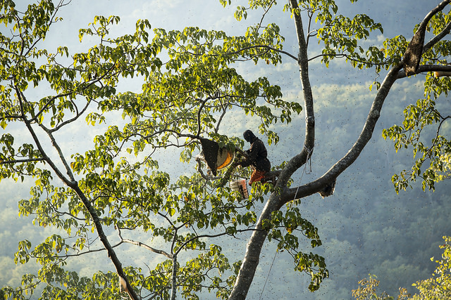 2016 Editors’ Picks: Best Features