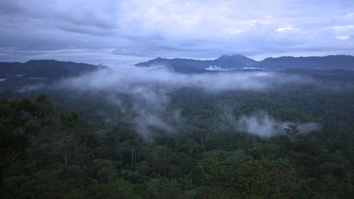 Biaya sebuah penyederhanaan