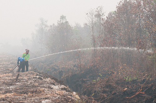 Pilihan Redaksi: Opini Terbaik 2016