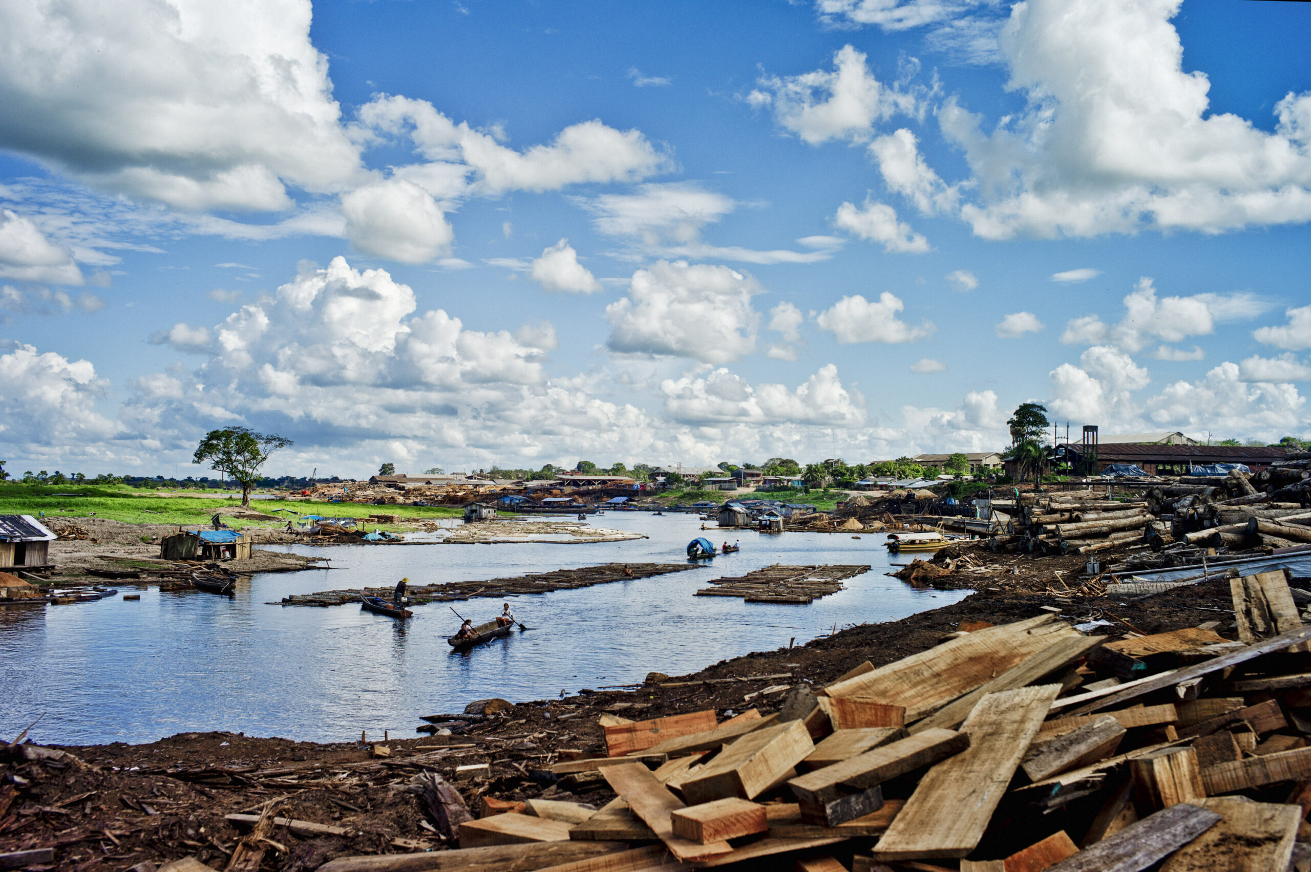 Tala ilegal: un asunto más (mucho más) complejo de lo que imagina