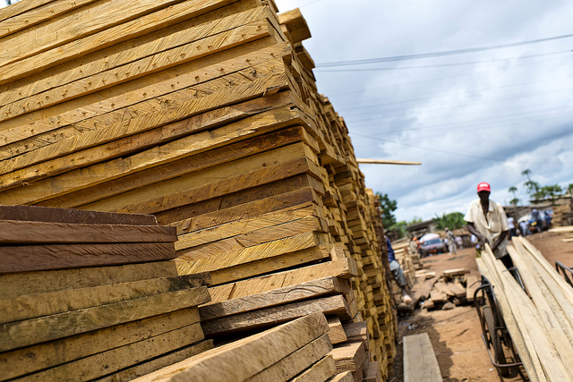 Legalizing Cameroon’s timber production chain
