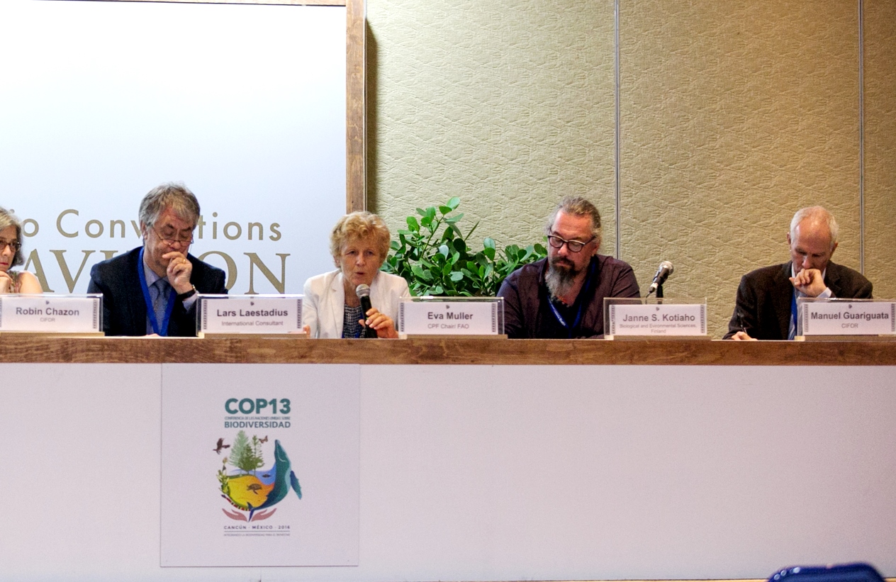 Eva Muller de FAO: «Para los ODS, las metas climáticas y las de la biodiversidad: tenemos que restaurar»